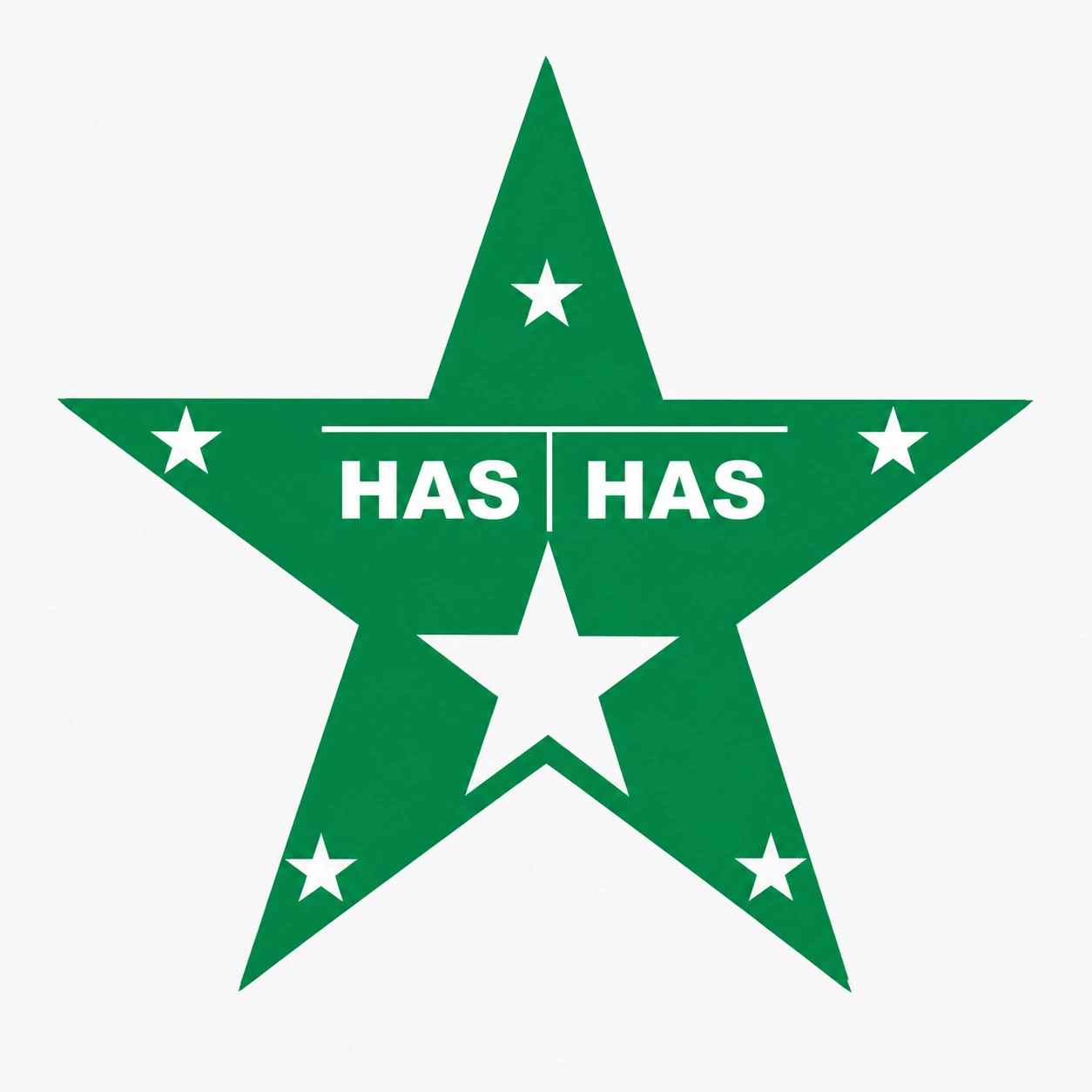 Hasthas Scientific Instruments laboratory equipment manufacturer logo